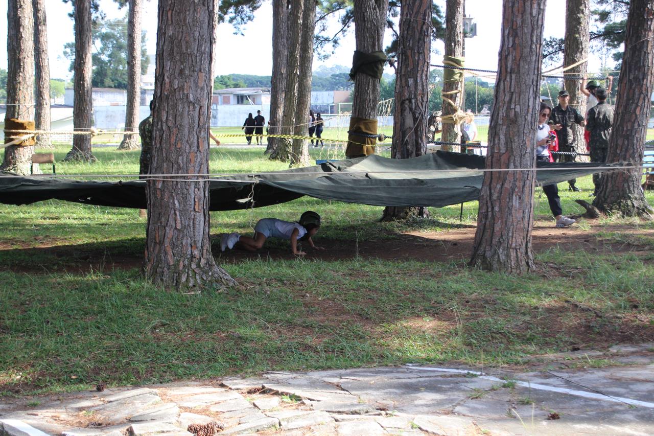 IMG_8340_49ab4