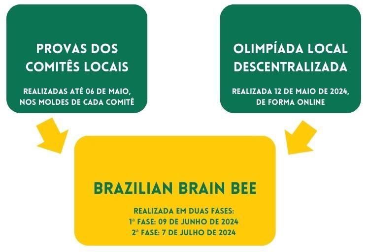 DATAS_obn_2024_be736
