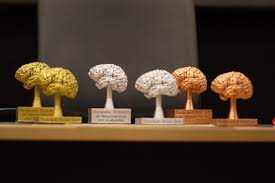 Neuro_ciencias_3_43254